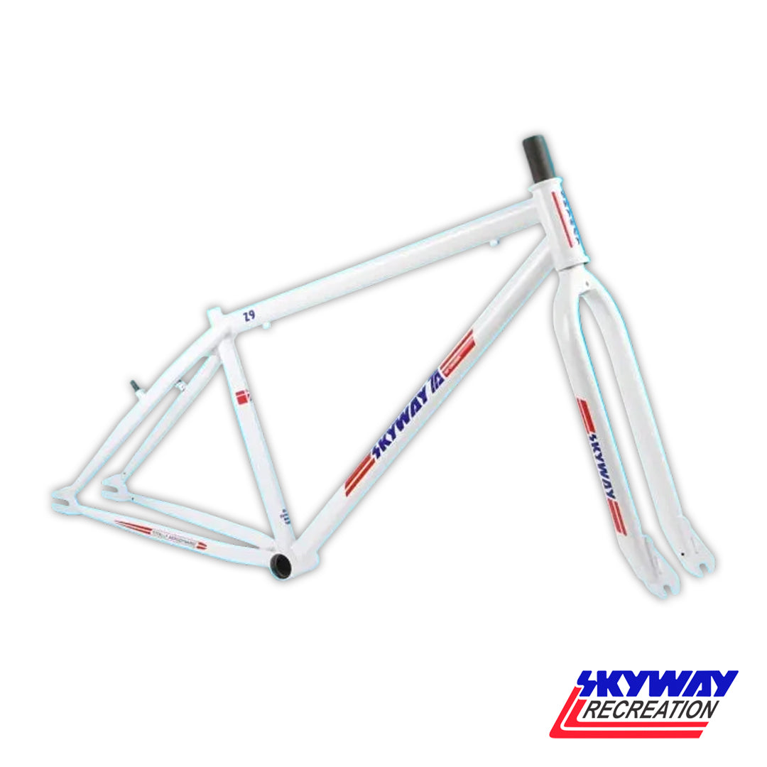 SKYWAY 29" T/A XL PRO CRUISER FRAME AND FORK SET