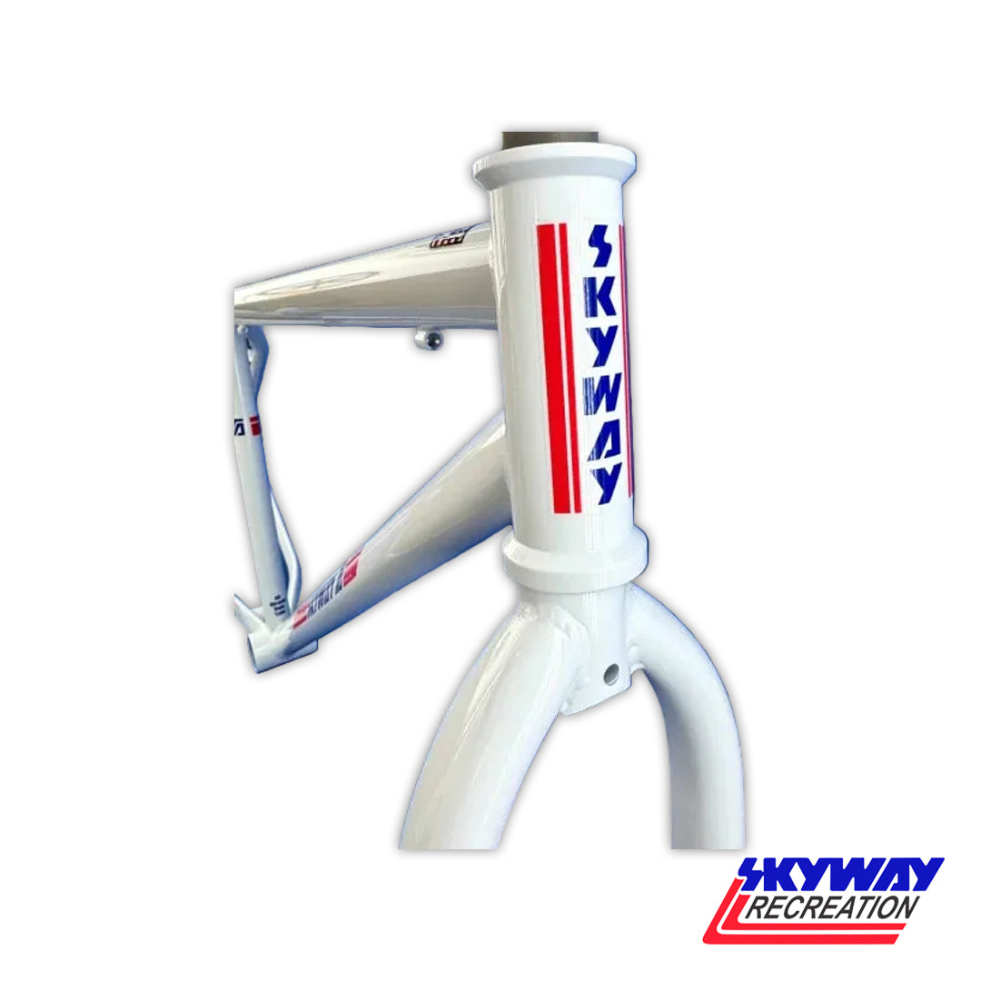 SKYWAY 29" T/A XL PRO CRUISER FRAME AND FORK SET