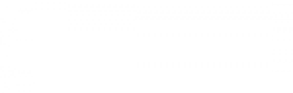 VEE TIRE & RUBBER SPEEDSTER TIRES TIRES 54042