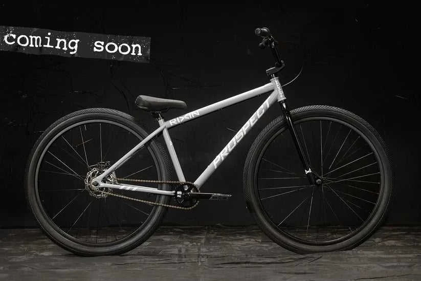 RIXIN PROSPECT COMPLETE BIKE 29" BICYCLE BIKRI210029GRA