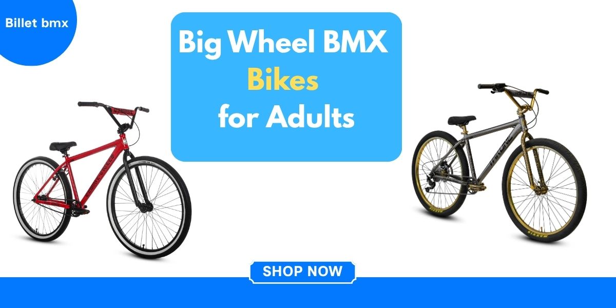 Big Wheel BMX Bikes for Adults