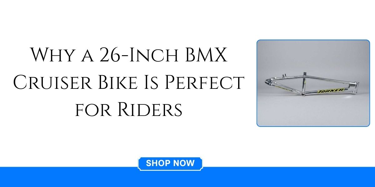 BMX cruiser
