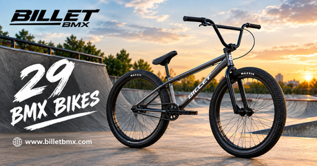 29 BMX bike