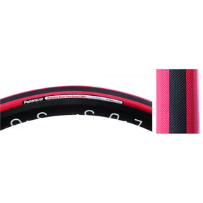 PANARACER PRACTICE DUAL TIRES 591955