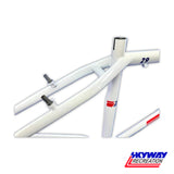 SKYWAY 29" T/A XL PRO CRUISER FRAME AND FORK SET