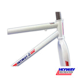 SKYWAY 29" T/A XL PRO CRUISER FRAME AND FORK SET