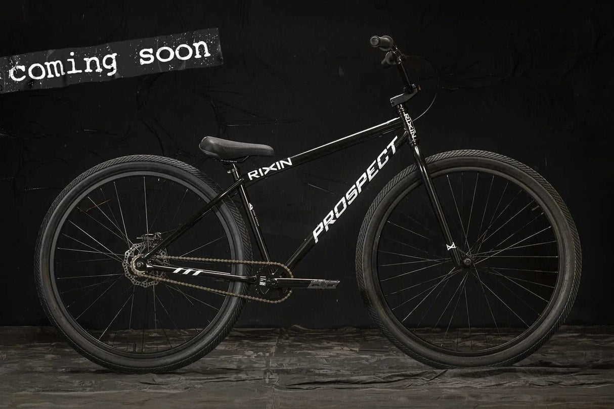 RIXIN PROSPECT COMPLETE BIKE 29" BICYCLE BIKRI210029GRA