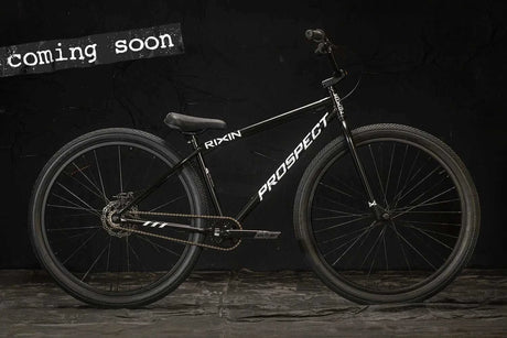 RIXIN PROSPECT COMPLETE BMX BIKE 29" GRAY (Copy) BICYCLE BIKRI210029GRA