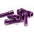 THEORY STEM BOLTS 6 pack STEM STETH90008PUR