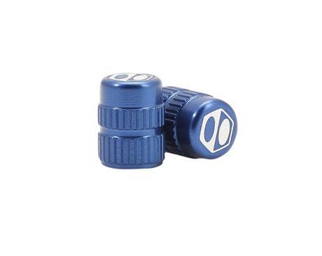 BOX COMPONENT BOX ONE CUDE SCHRADER VALVE CAPS 