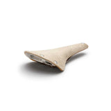 BROOKS C17 SPECIAL C211000A06001