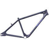 Race Inc RA29 Frame Frame RI-FM21AL29R-AG
